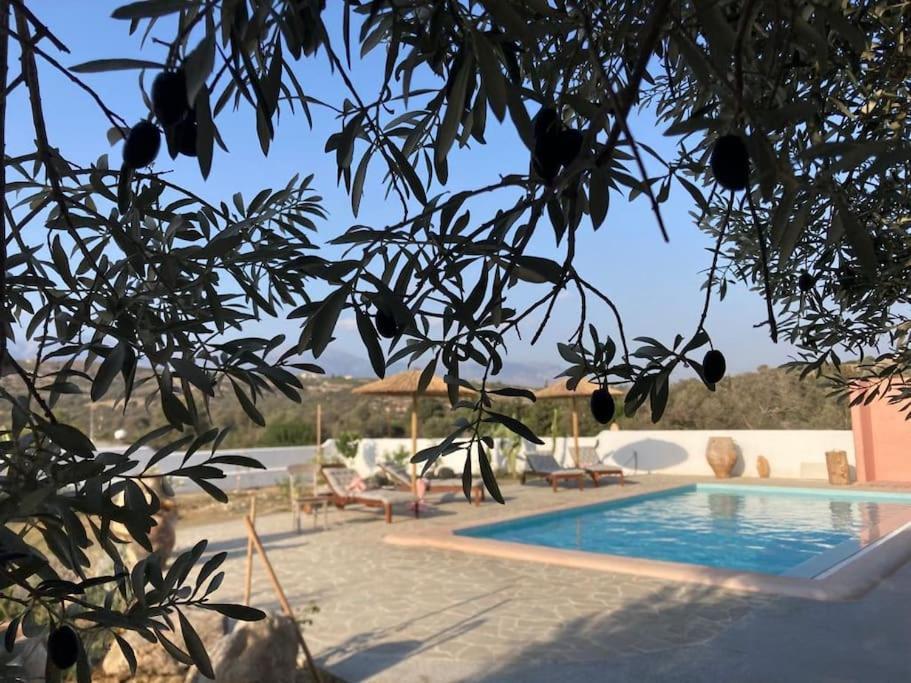 Villa Louloudia Stylish Luxury Villa With Private Pool Pitsidia Esterno foto