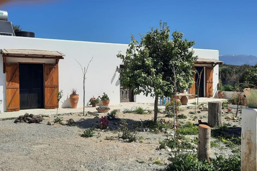 Villa Louloudia Stylish Luxury Villa With Private Pool Pitsidia Esterno foto
