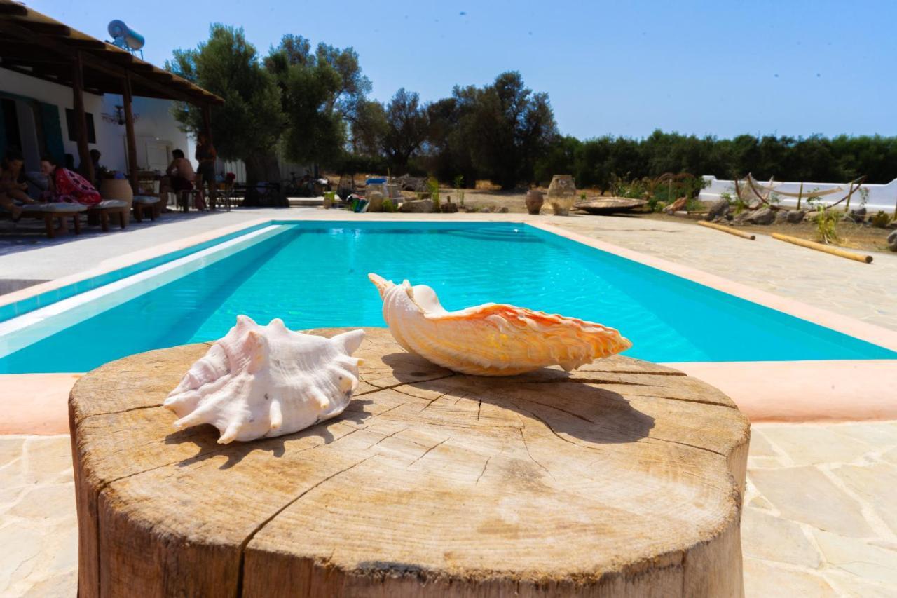 Villa Louloudia Stylish Luxury Villa With Private Pool Pitsidia Esterno foto